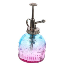 Plant Spray Bottle Glass Mister SpillProof Vintage Design for Indoor Plants Succulents Flowers