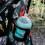 Cosatto Supa 3 Stroller - Old MacDonald 8