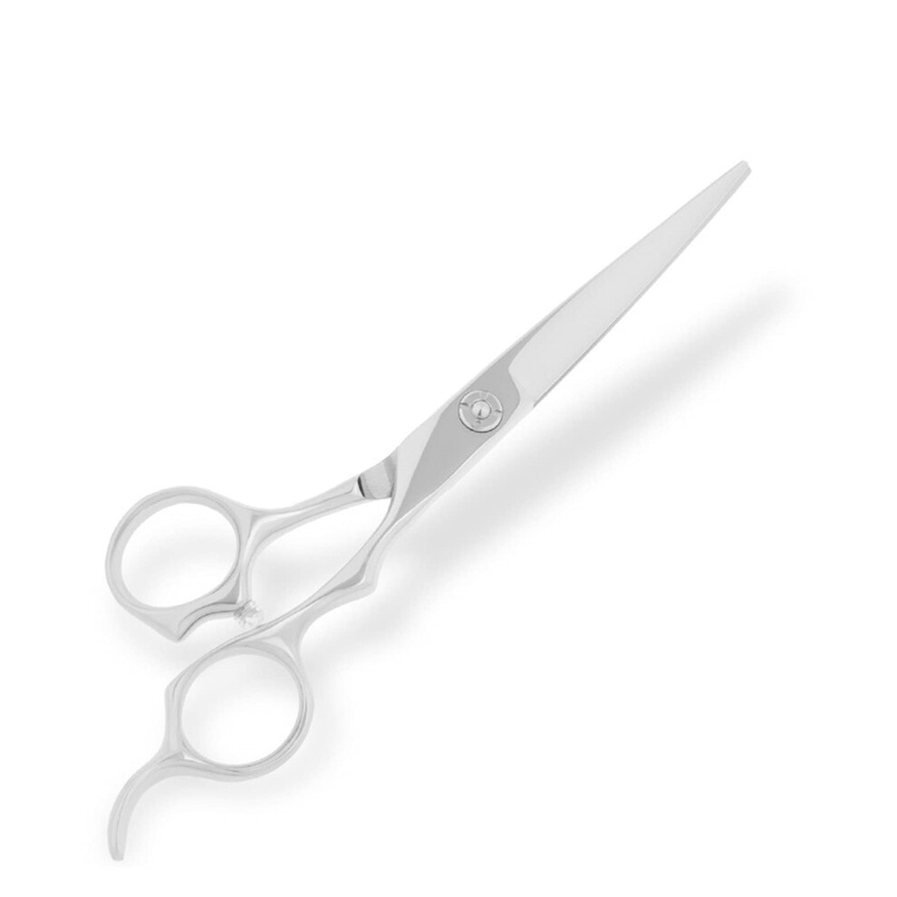 Professional Hair Cutting Scissors Stainless Steel Barber Shears with Sharp Precision Blades