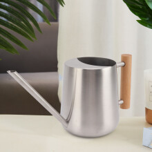 900ml Stainless Steel Watering Can with Wooden Handle, Silver