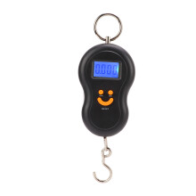 Elektrischer Spannungskalibrator mit LCD-Anzeige, Schwarz, 134g