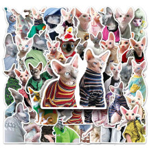 Adesivi con simpatici meme di gatti, 50 adesivi divertenti per bambini, adesivi decorativi per gatti, piccolo set di adesivi impermeabili e