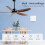 Interrupteur Mural Intelligent pour Ventilateur et Éclairage, Télécommande Bidirectionnelle RF433, Commande Vocale, Application Tuya , 6