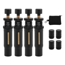 Adjustable Auto-Stop Tire-Deflator Valve Kit (10-30 PSI) 4 PCS Screw- Tyre Air Down Tool for Vehicles Motorcycle