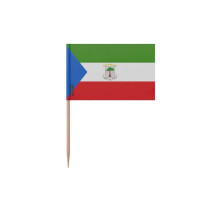 Tandstokjes Vlag van Equatoriaal-Guinea - 12 cm - 100 stuks - Plakplastic - Bamboe stok - Pixelforma