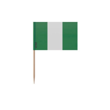 Tandenstokers Vlag van Nigeria - 8 cm - 100 stuks - Plastische kleefstof - Bamboestok - Pixelforma
