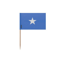 Tandenstokers Vlag van Somalië - 8 cm - 100 stuks - Hech塑 materiaal - Bamboe stokje - Pixelforma