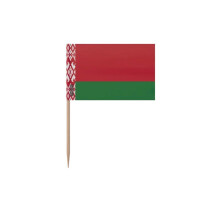 Palillos Drapeau de Bielorrusia - 8 cm - 100 piezas - Plástico adhesivo - Palo de bambú - Pixelforma