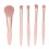 5Pcs Portable Makeup Brushes Set with Mirror Box, Apricot Pink 1