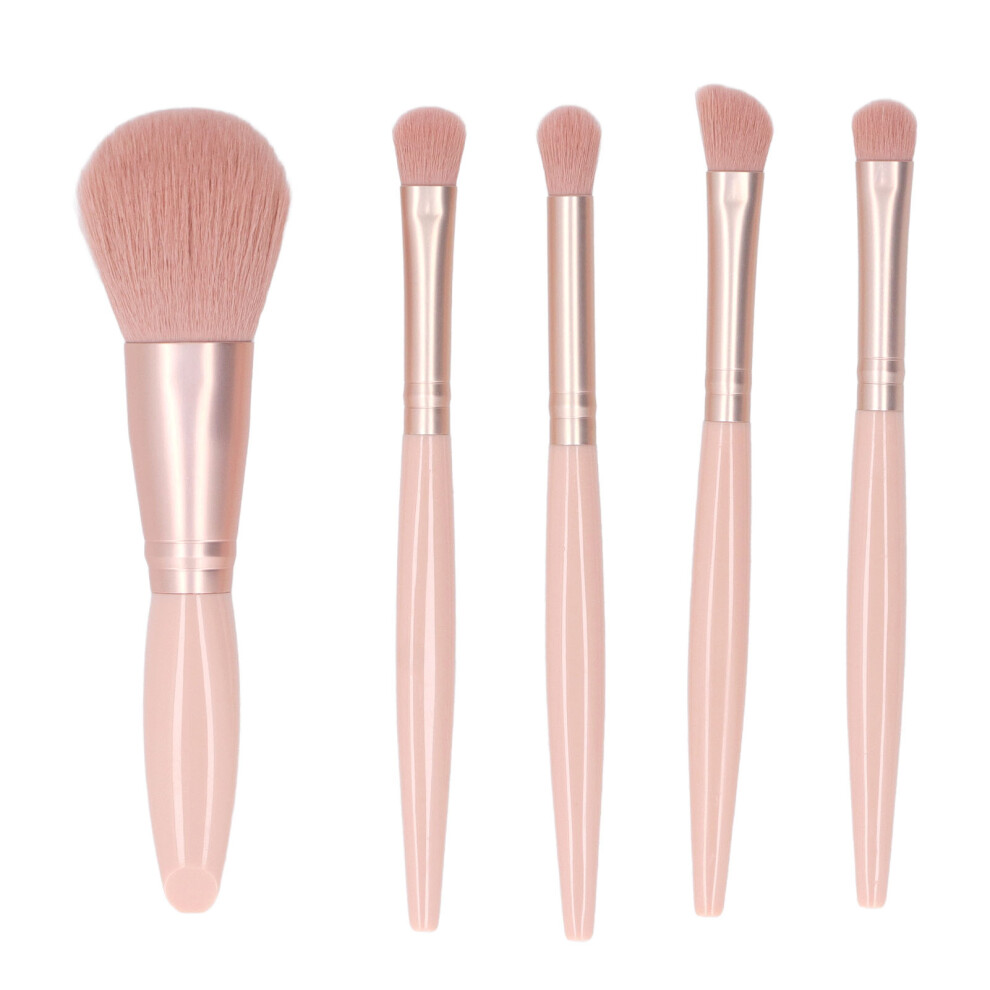 Pink 5Pcs Portable Makeup Brushes Set With Mirror Box, Apricot