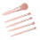 5Pcs Portable Makeup Brushes Set with Mirror Box, Apricot Pink 9
