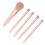 5Pcs Portable Makeup Brushes Set with Mirror Box, Apricot Pink 6