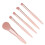 5Pcs Portable Makeup Brushes Set with Mirror Box, Apricot Pink 11