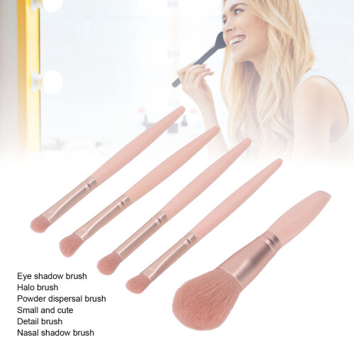 5Pcs Portable Makeup Brushes Set with Mirror Box, Apricot Pink 2