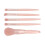 5Pcs Portable Makeup Brushes Set with Mirror Box, Apricot Pink 5