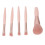 5Pcs Portable Makeup Brushes Set with Mirror Box, Apricot Pink 7