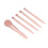 5Pcs Portable Makeup Brushes Set with Mirror Box, Apricot Pink 15