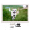 Moldura digital HD com tela LED de 15,4 polegadas e suporte para vídeo 1080p, ideal para decoração moderna de casa. Possui controle remoto e é 1