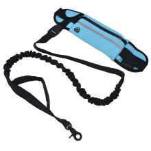 Reflektierende Sport-Hundegürteltasche & Leinen-Set, Himmelblau, verstellbar