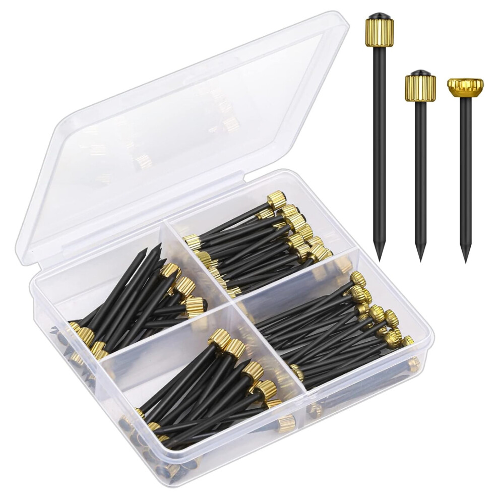 Picture Hanging Nails For Wall Art Display, Sturdy Hardware Nails With Brass Heads, Screw-In Design For Enhanced Stability And Minimal Wall Damage, 9009791745597