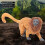 Simulation Wildlife Modell Spielzeug Säugetier 3