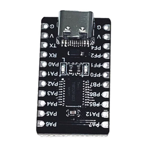 2X Advanced RISC V Processor Module TWEN32F003 Development Board 1