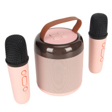 Wireless Karaoke Speaker Pink with 2 Microphones, RGB Light, 6W Bluetooth 5.3