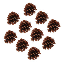 10er Pack Naturale Kiefernzapfen-Kauspielzeuge für Vögel – Wellensittiche, Nymphensittiche, Aras