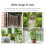 Small Flower Screen Tower Trellis Stand 63x46.5cm, 6 Pack 4