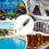 2pcs TDS Meter Digital Water Tester with Precise Readings and LCD for Hydroponics Aquariums Pools 5