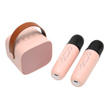 Tragbares Karaoke-Gerät Stereo Bluetooth-Lautsprecher mit 2 Mikrofonen Pink