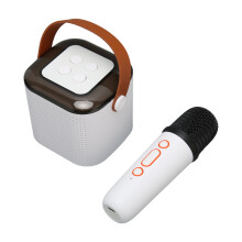 Tragbare Bluetooth-Karaoke-Maschine mit RGB-Leuchten, Mikrofon