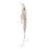 Suspension Jerkbait for Versatile Performance, Razor Sharp Trebles Ensure Solid Hooksets Every Time, Ideal for Cold Water and Lethargic Fish 2
