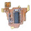 3X SI4732 Chip and Crystal Oscillator Component Modification Module V2 FPC Version for Quansheng UV-K5 2