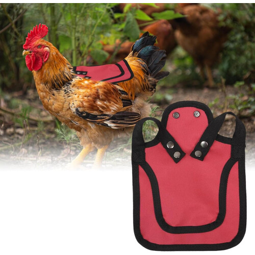 Chicken Saddle Hen Protector with Adjustable Straps, Breathable Vest for Feather Loss, Red 1