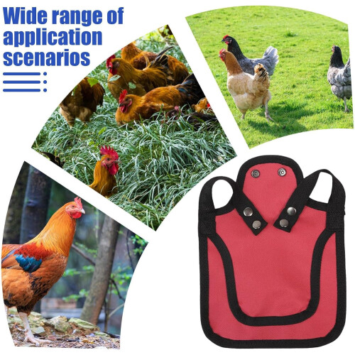 Chicken Saddle Hen Protector with Adjustable Straps, Breathable Vest for Feather Loss, Red 2