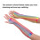 Fingerless Fishnet Gloves with Scale Pattern, Durable and Stretchy Fishnet Material, Mesh Emo Goth Punk Accessories, Elbow Length Seamless Net Arm 7