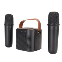 Mini chaîne de karaoké Bluetooth avec lumière RGB et 2 microphones sans fil, noir