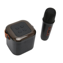 Hochleistungs-Karaoke-Maschine mit RGB-Leuchten & Mikrofon – Schwarzes, kompaktes Design