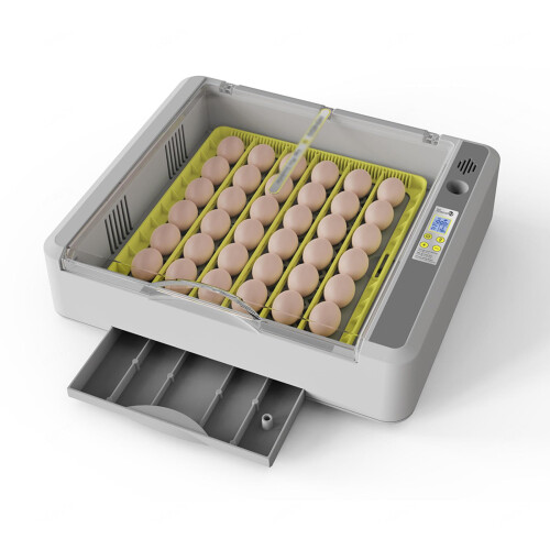 Small Incubators For Hatching Eggs With Automatic Flip, Temperature Control, Easy To Clean, 36 Eggs Capacity