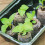 50 Pcs Compressed Peat Nutrient Blocks for Seedlings, Φ40 X 10 mm 11