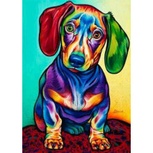 Colorful Dachshund Cross Stitch Kit with Accurate Preprinted Pattern and Threads for Beginners