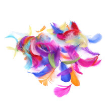 Artisan Craft Feather Set Party Decorations Natural Feather Mix, Dream Catchers Craft Feathers with Soft Fluffy Base for DIY Craft Wedding