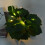 Waterproof 6m Artificial Plant LED String Lights with Battery Box 4