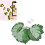 Waterproof 6m Artificial Plant LED String Lights with Battery Box 13