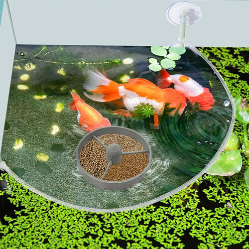 Fish Feeding Ring Floating Fish Feeder 3D Printed WarpResistant Aquarium and Pond Accessory 1