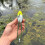 Δόλωμα ψαρέματος Topwater Frog Premium, ρεαλιστικό, χωρίς ζιζάνια, μαλακό δόλωμα, αιχμ 3