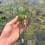Δόλωμα ψαρέματος Topwater Frog Premium, ρεαλιστικό, χωρίς ζιζάνια, μαλακό δόλωμα, αιχμ 2