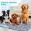 Tapis absorbants lavables et imperméables pour chiots, version améliorée. 2