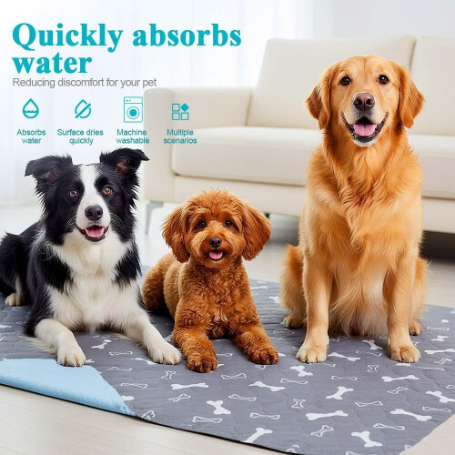Tapis absorbants lavables et imperméables pour chiots, version améliorée. 1